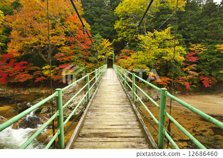 青森Mutsu市Yakushiki流 12686460