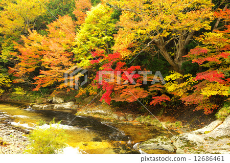 Aomori Mutsu City Yakushiki Stream Aomori Mutsu City Yakushiki Stream 12686461