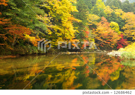 Aomori Mutsu City Yakushiki Stream 12686462