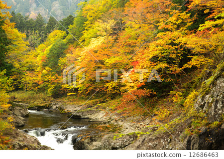 Aomori Mutsu City Yakushiki Stream 12686463