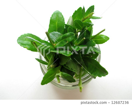 Deep-fried pickled eggs 12687236