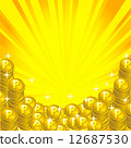 硬幣 12687530