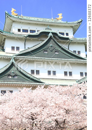 April Aichi Nagoya Castle · Tenso and Sakura 12688372