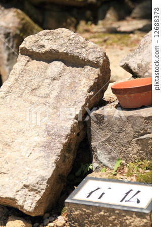 June Shiga Azuchi Castle - Buddhist stone in the major road 12688378