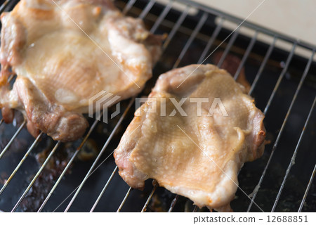 chicken 12688851