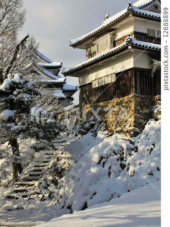 Snow Bikin Matsuyama Castle Ninomaru 12688899
