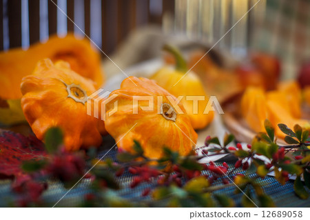 autumn fruits 12689058