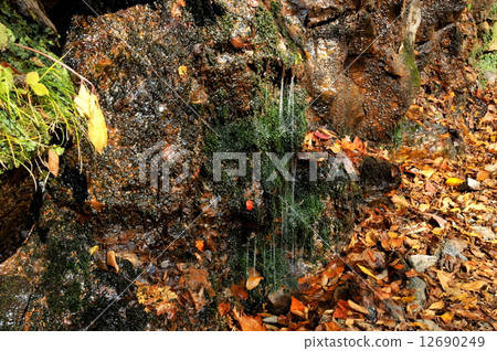 Saitama Prefecture Autumn Oku Chichibu Irikawa Valley spring spring 12690249