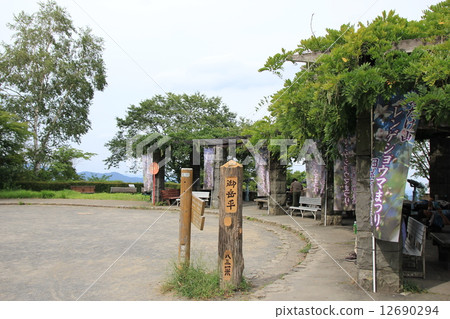 Renge goshoma Renge goshoma 12690294