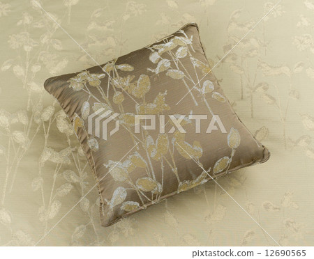 beautiful cushion 12690565