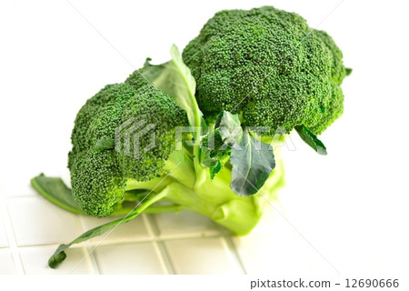 Broccoli on top of the tile 12690666