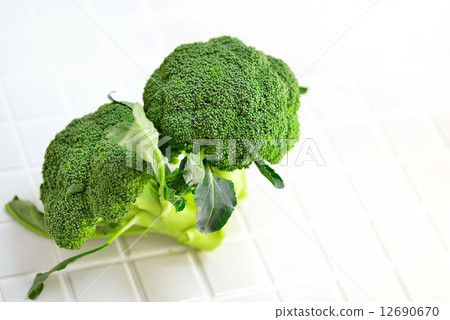 Broccoli on top of the tile 12690670