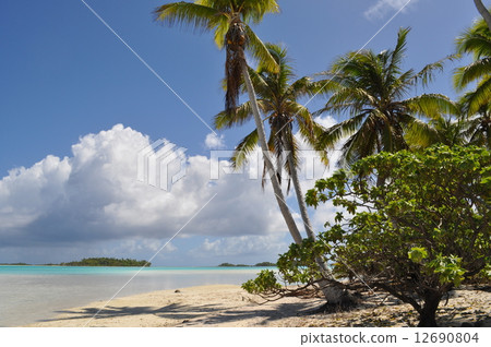 Rangiroa 12690804