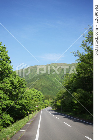 新綠的一條路 新綠的一條路 12690962
