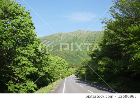 One road of fresh green One road of fresh green 12690963