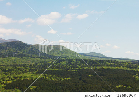A view full of greenery seen from the hill 12690967