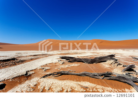 beautiful landscape of Hidden Vlei in Namib desert 12691101