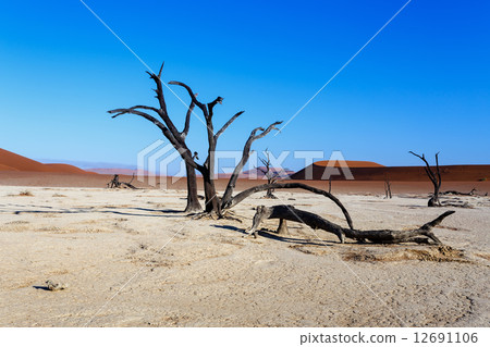 beautiful landscape of Hidden Vlei in Namib desert beautiful landscape of Hidden Vlei in Namib desert 12691106