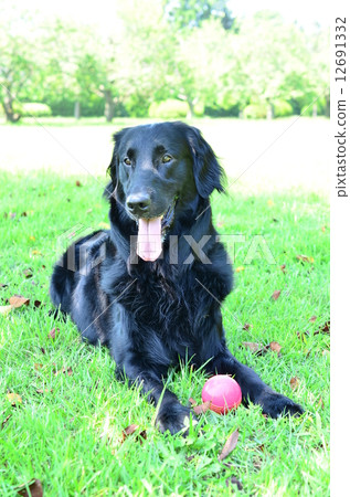 A little break ♪ A little break ♪ 12691332