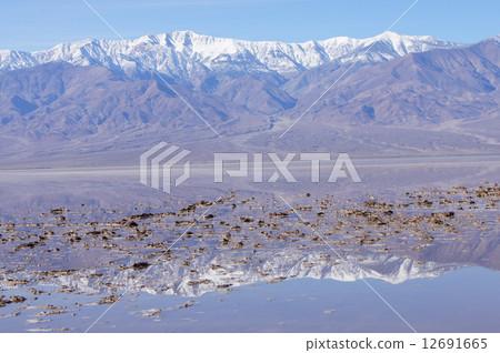 Death Valley Budwater Death Valley Budwater 12691665