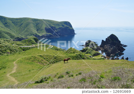 Oki-jima的前面 12691669