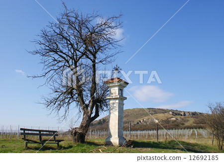 Mikulov countryside 12692185