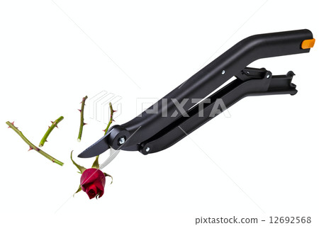 garden secateurs 12692568