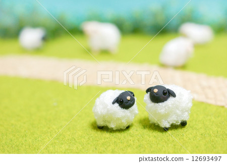 Friendly Sheep Friendly Sheep 12693497