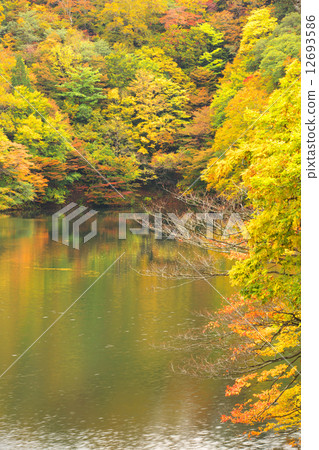 Zoomori Fukaura Town 12693586