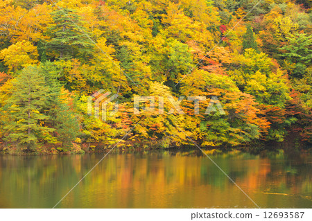 Zoomori Fukaura Town 12693587