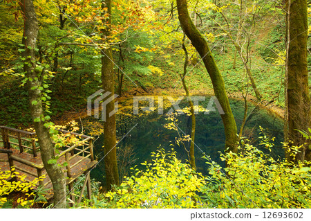 Zoomori Fukaura Town 12693602