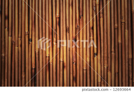 bamboo texture 12693664
