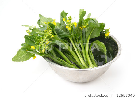 Asparagus 12695049