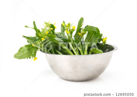 蘆筍蔬菜 蘆筍蔬菜 12695050