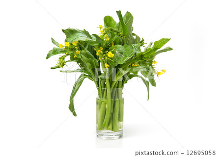 Asparagus Asparagus 12695058