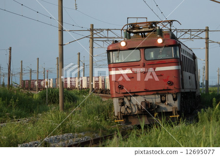 Primary color EF81 type towing container freight train 12695077