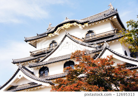 Hikone castle 1 Hikone castle 1 12695313