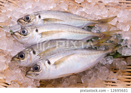 True Aji 12695681