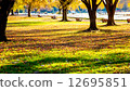 Autumn park 12695851