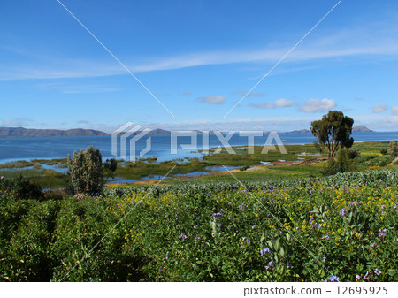 Titicaca Lake 12695925