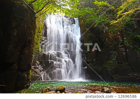 Mulberry tree waterfall Mulberry tree waterfall 12696586
