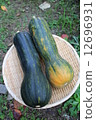 Gourd Pumpkin Gourd Pumpkin 12696931