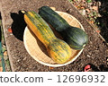 Gourd Pumpkin Gourd Pumpkin 12696932