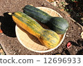 Gourd Pumpkin Gourd Pumpkin 12696933