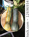 Gourd Pumpkin Gourd Pumpkin 12696934