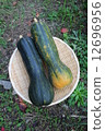 Gourd Pumpkin Gourd Pumpkin 12696956