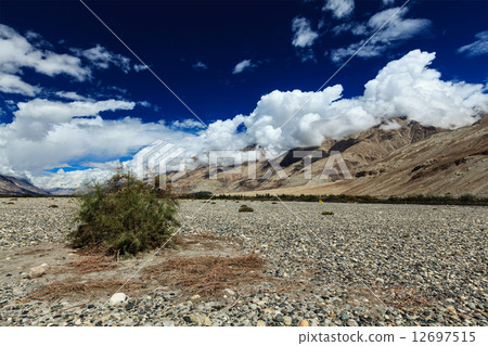 Nubra valley in Himalayas. Ladakh, India Nubra valley in Himalayas. Ladakh, India 12697515