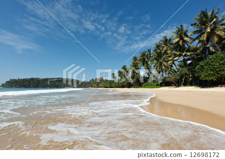 Idyllic beach. Sri Lanka 12698172