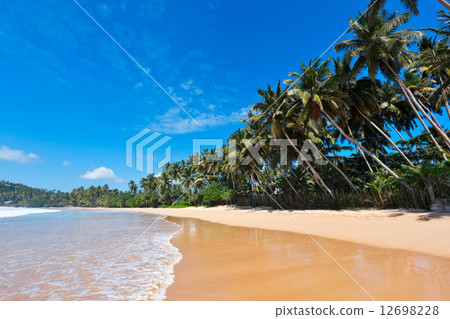 Idyllic beach. Sri Lanka 12698228