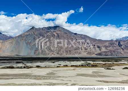 Nubra valley in Himalayas. Ladakh, India Nubra valley in Himalayas. Ladakh, India 12698236